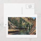 Colorado Springs, CO - forel Briefkaart (Voorkant / Achterkant)