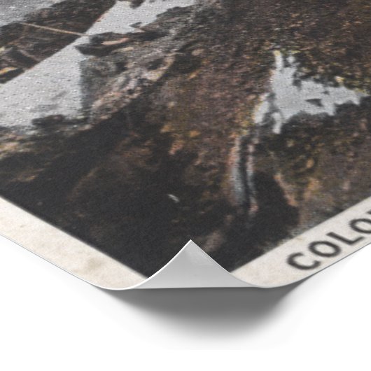 Colorado Springs, Colorado 4 Poster (Hoek)