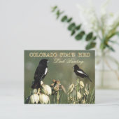 Colorado State Bird - Lark Bunting Briefkaart (Staand voorkant)