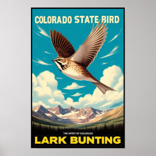 Colorado State Bird - Lark Bunting Poster