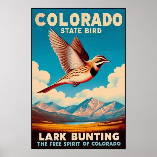 Colorado State Bird - Lark Bunting  Poster (Voorkant)