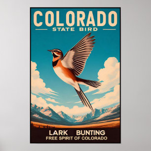 Colorado State Bird - Lark Bunting Poster