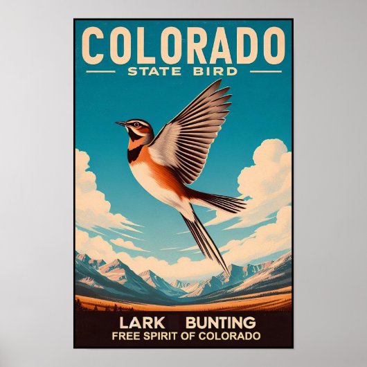 Colorado State Bird - Lark Bunting Poster (Voorkant)