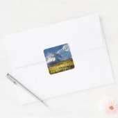 Colorado Sticker (Envelop)