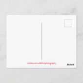 Colorado Summer Camp Fire Briefkaart (Achterkant)