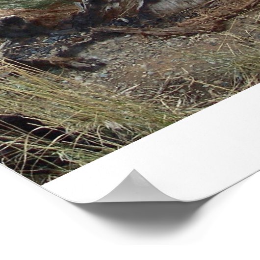 Colorado Sunset Poster (Hoek)