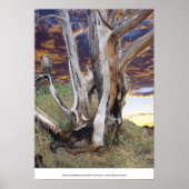 Colorado Sunset Poster (Voorkant)