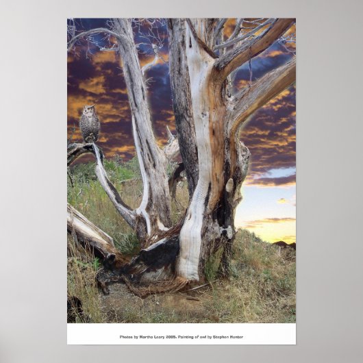 Colorado Sunset Poster (Voorkant)