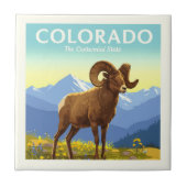  Colorado Tegeltje (Voorkant)