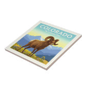  Colorado Tegeltje (Zijkant)