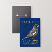 Colorado Territory Bird De Lark Bunting Button (Voorkant / Achterkant)