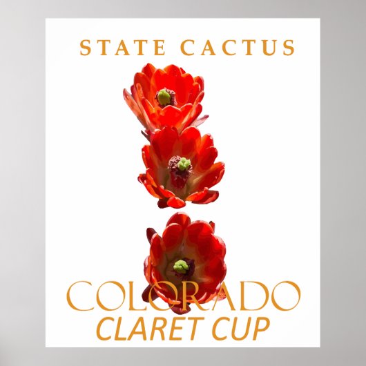 Colorado Territory Cactus De Claret Cup Poster (Voorkant)