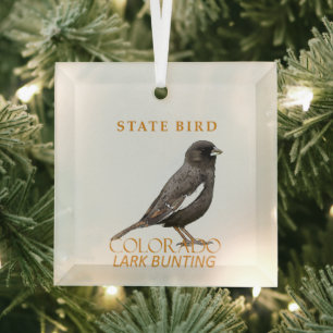 Colorado Territory Vogel De Lark Bunting Glas Ornament