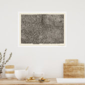 Colorado Topografische kaart 1894 Poster (Keuken)