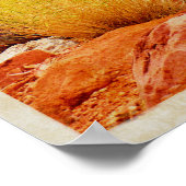  Colorado Travel Poster (Hoek)