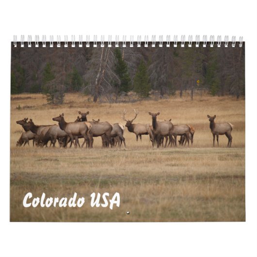 Colorado USA Calendar Kalender (Hoes)