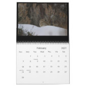 Colorado Vision 2010 Kalender (Feb 2027)