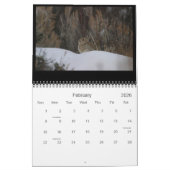 Colorado Vision 2010 Kalender (Feb 2026)
