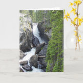 Colorado Waterfall All Occasion Wenskaart Kaart (Gele Bloem)