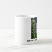 Colorado waterfall-mok. koffiemok (Center)