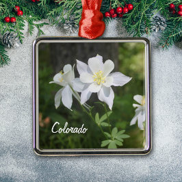Colorado White Columbine met kerstversiering Metalen Ornament