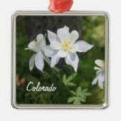 Colorado White Columbine met kerstversiering Metalen Ornament (Voorkant)