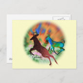 Colorado Wild Briefkaart (Voorkant / Achterkant)