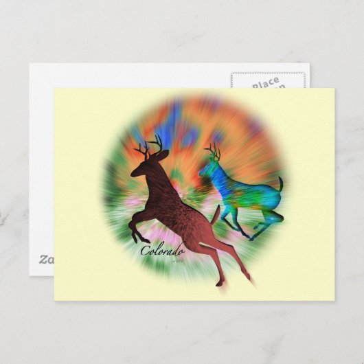 Colorado Wild Briefkaart (Voorkant / Achterkant)