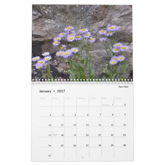 Colorado Wildbloemen Kalender (Jan 2027)
