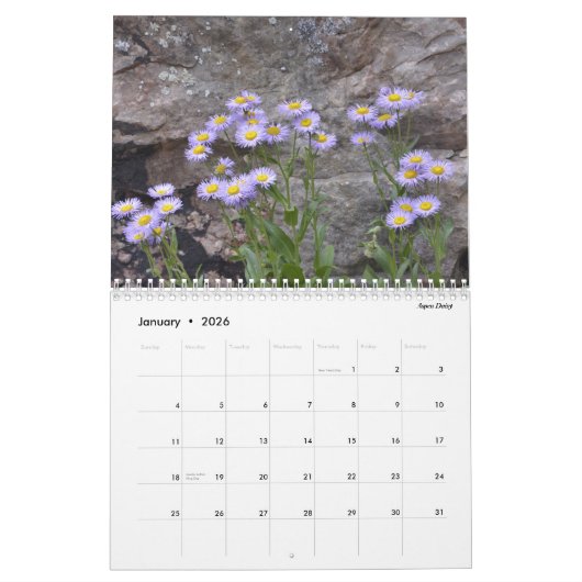 Colorado Wildbloemen Kalender (Jan 2026)