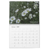 Colorado Wildbloemen Kalender (Jan 2027)