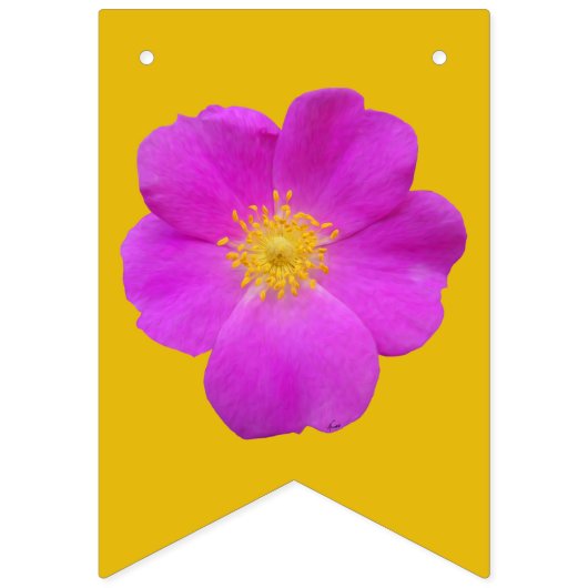 Colorado Wildbloemen Vlaggetjes (Tweede vlag)