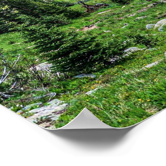 Colorado Wilderness // Amazing Peaceful Scenery Poster (Hoek)