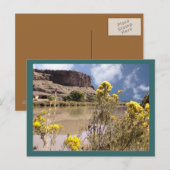 Colorado Wildflower Briefkaart (Voorkant / Achterkant)