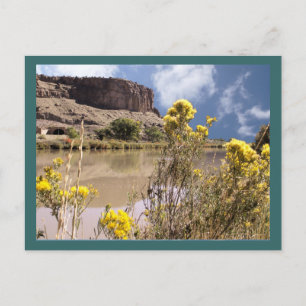 Colorado Wildflower Briefkaart