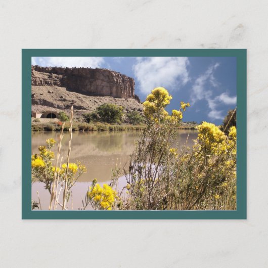 Colorado Wildflower Briefkaart (Voorkant)
