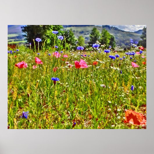Colorado wildflower canvas print (Voorkant)