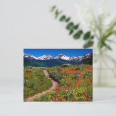 Colorado Wildflower Meadow Briefkaart (Staand voorkant)