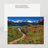 Colorado Wildflower Meadow Briefkaart (Voorkant / Achterkant)