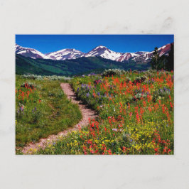 Colorado Wildflower Meadow Briefkaart