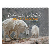 Colorado Wildlife Calendar Kalender (Hoes)