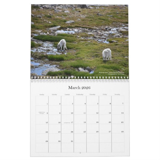 Colorado Wildlife Calendar Kalender (Mar 2026)