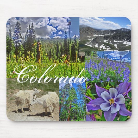 Colorado wildlife mousepad muismat (Voorkant)