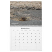 Colorado-wildlifekalender Kalender (Feb 2027)