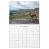 Colorado-wildlifekalender Kalender (Jan 2027)