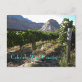 Colorado Wine Land Briefkaart (Voorkant)