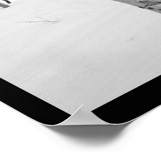 Colorado Winter Aspen Tree Poster (Hoek)