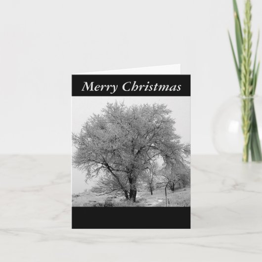 Colorado Winter Christmas Card Feestdagen Kaart (Voorkant)