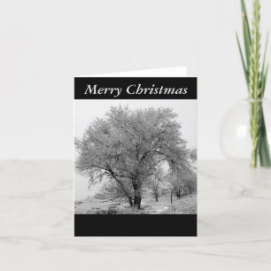 Colorado Winter Christmas Card Feestdagen Kaart