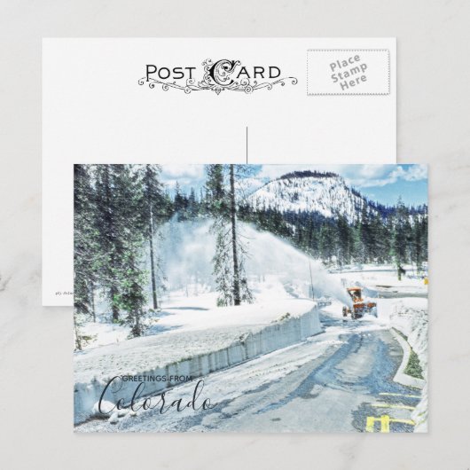 Colorado Winter Deep Snow Briefkaart (Voorkant / Achterkant)